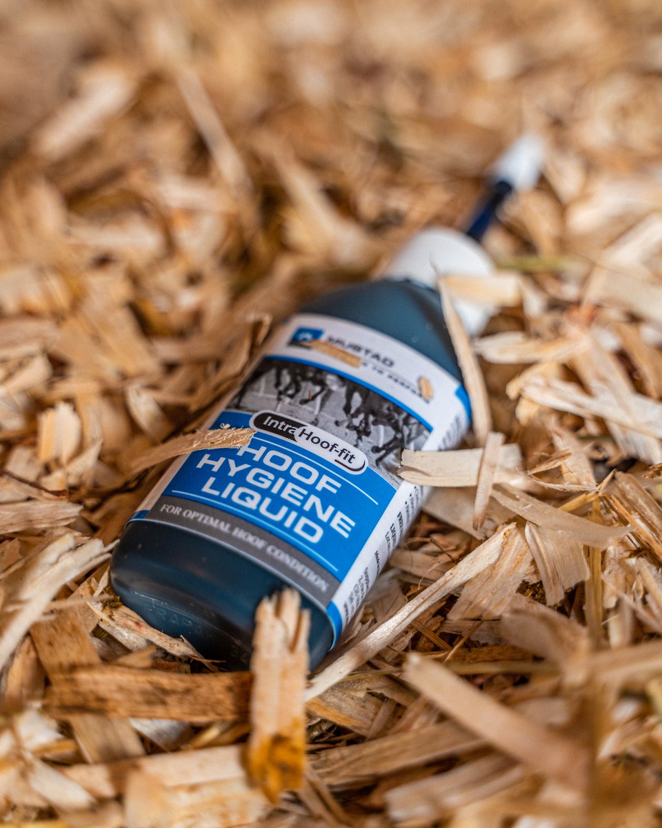 Hoof Hygiene Liquid is ideal for protective and preserving the frog. This unique solution helps to combat and shield against seedy toes and thrush.

mustad.com