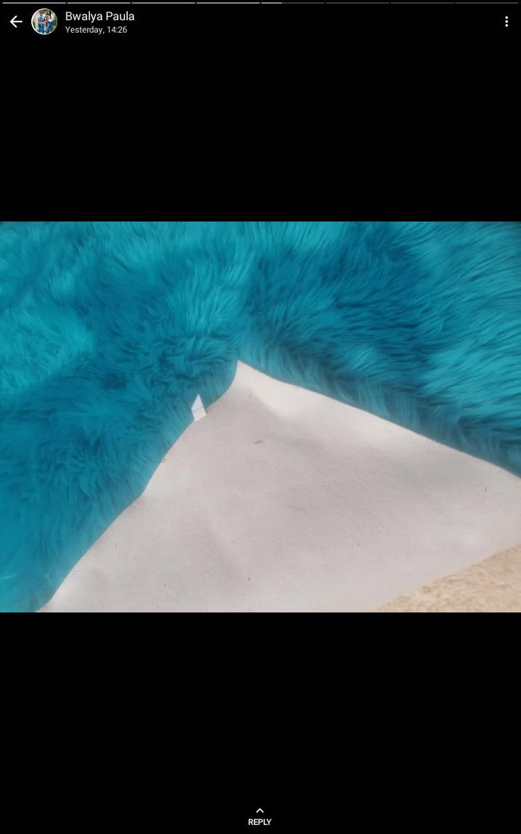 Deep fluffy carpets for sale in white nude turquoise blue mint green  and peach at k800 1.3m ×2m found near lewanika mallretreat 0977807748. Kindly retweet my customer can be on your