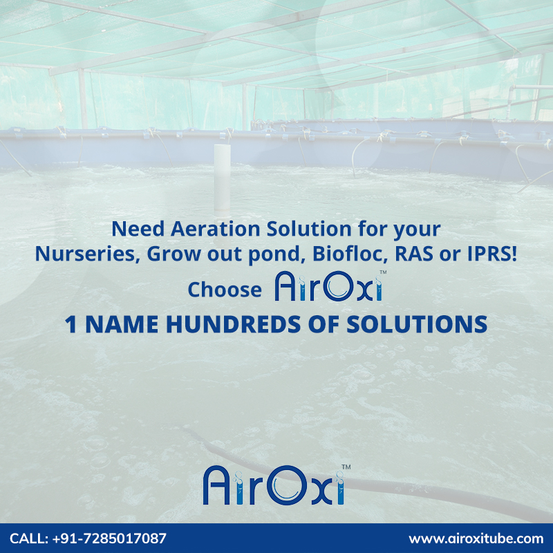 airoxitube's tweet image. Looking for a perfect aeration solution for your nurseries, grow-out pond, biofloc, RAS, or IPRS? Reach out to us at AirOxitube.com, A place where you get a wide range of aeration solution choices to select from. Visit: airoxitube.com
#aerationsolution