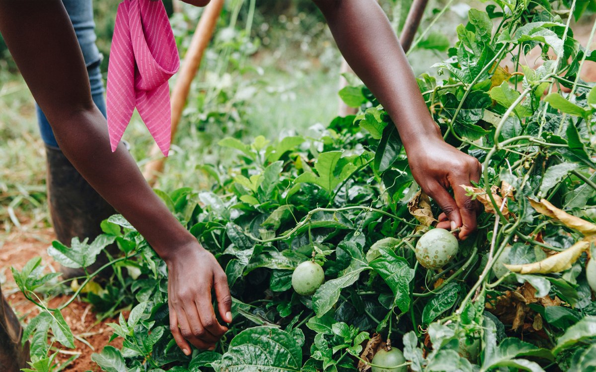 If you're interested in building equitable resilience in southern Africa, please check out the Southern African Resilience Academy's Call for Working Groups! WGs are funded, and the deadline is 31 Jan. Come join us!🌟 reshubafrica.org/sara-working-g… @grp_resilience @CentreforCST