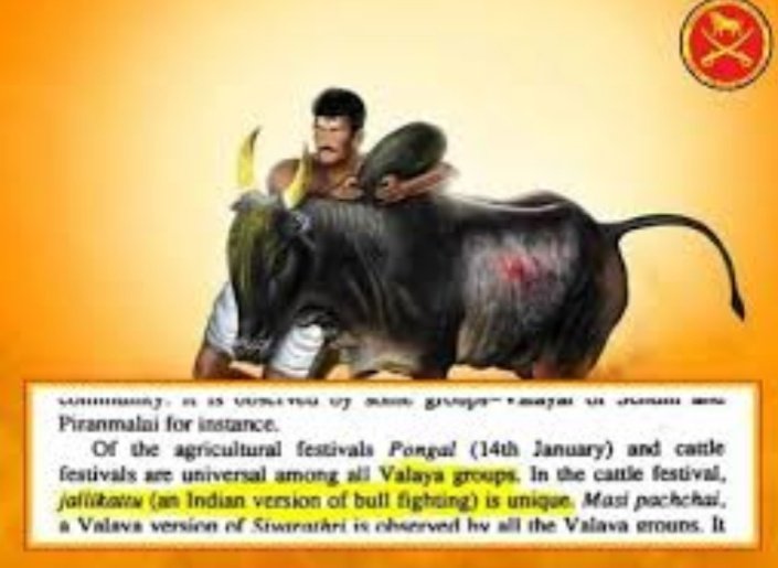 Ratchas16's tweet photo. #அலங்காநல்லூர்_முத்தரையர்_ஜல்லிக்கட்டு https://t.co/EwEyapuInY