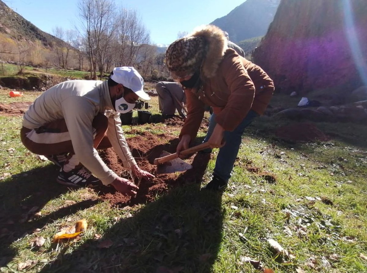 AtlasHigh's tweet photo. Today is the day! 🌱🌱 Tune in as we plant trees across #Morocco.
The #HAFTeam with hundreds of people from dozens of communities are mobilizing to together plant thousands of #fruittrees during our annual tree planting event, which we are calling Green Hope this year. https://t.co/ivh7whsazb
