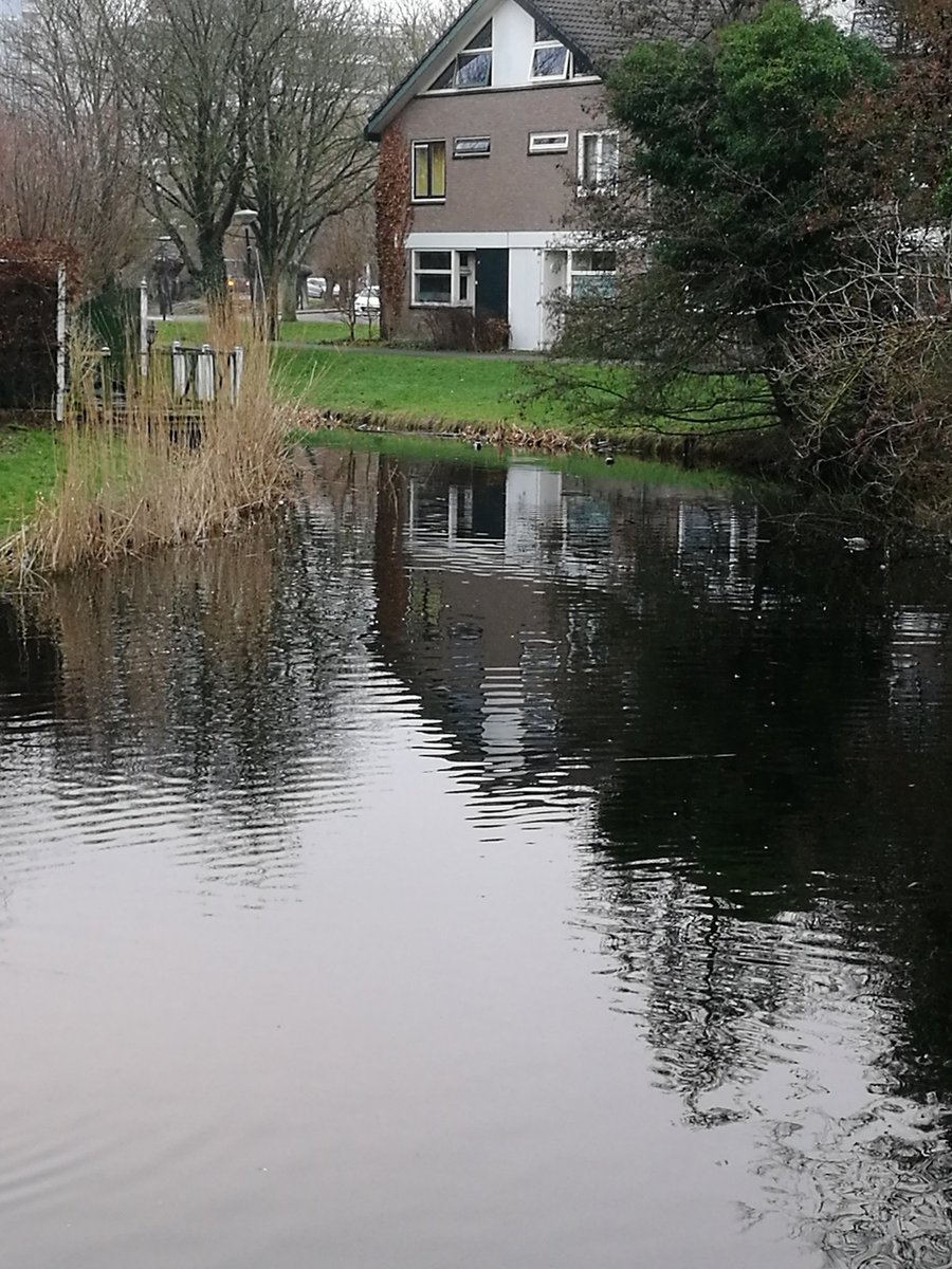 HelenaVictoriaD's tweet photo. Good morning, #Merenwijk! #BoroughofLakes

I am off jogging. 

Happy #BlueMonday and #GreenMonday at #HappySoaps! https://t.co/OKs3Lm2ltu