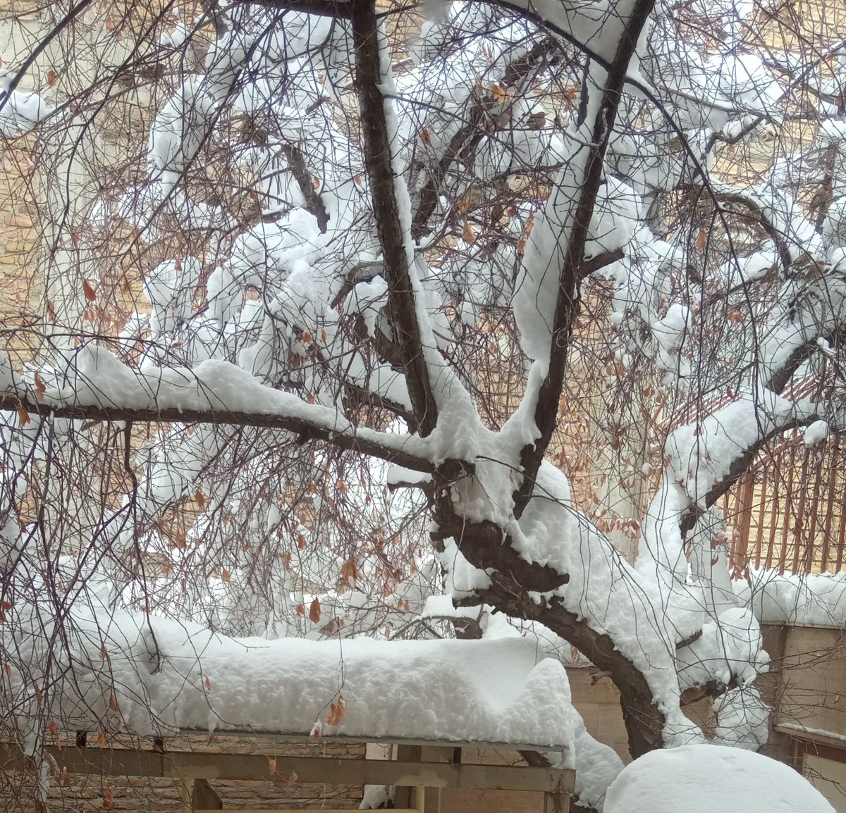 imrozhia's tweet photo. چجوری میتونه انقد قشنگ باشه؟ :) https://t.co/Ijf7vL8VsH