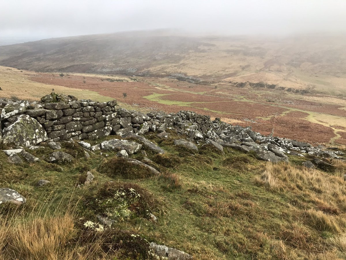 catttwings's tweet photo. A wall built by Irish indentured laborers in the 19th century to prevent the animals of local farmers from grazing there. #englishhistory #dartmoorhistory https://t.co/CBRN5Ak77S