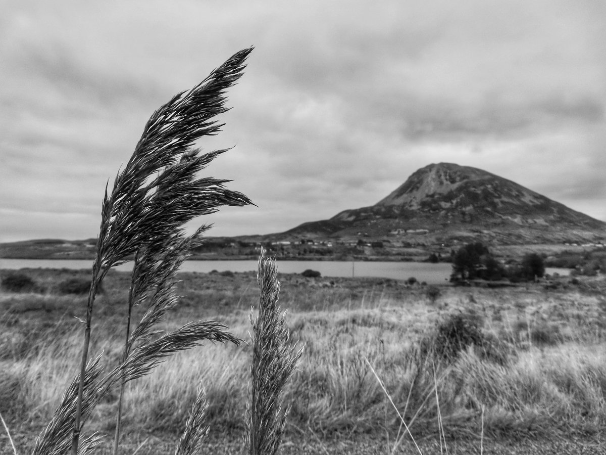 wildswimmer67's tweet photo. Mount Errigal and Dunlewey #DonegalStateofMind #Ireland #Donegal https://t.co/YpNB2PO9Nq