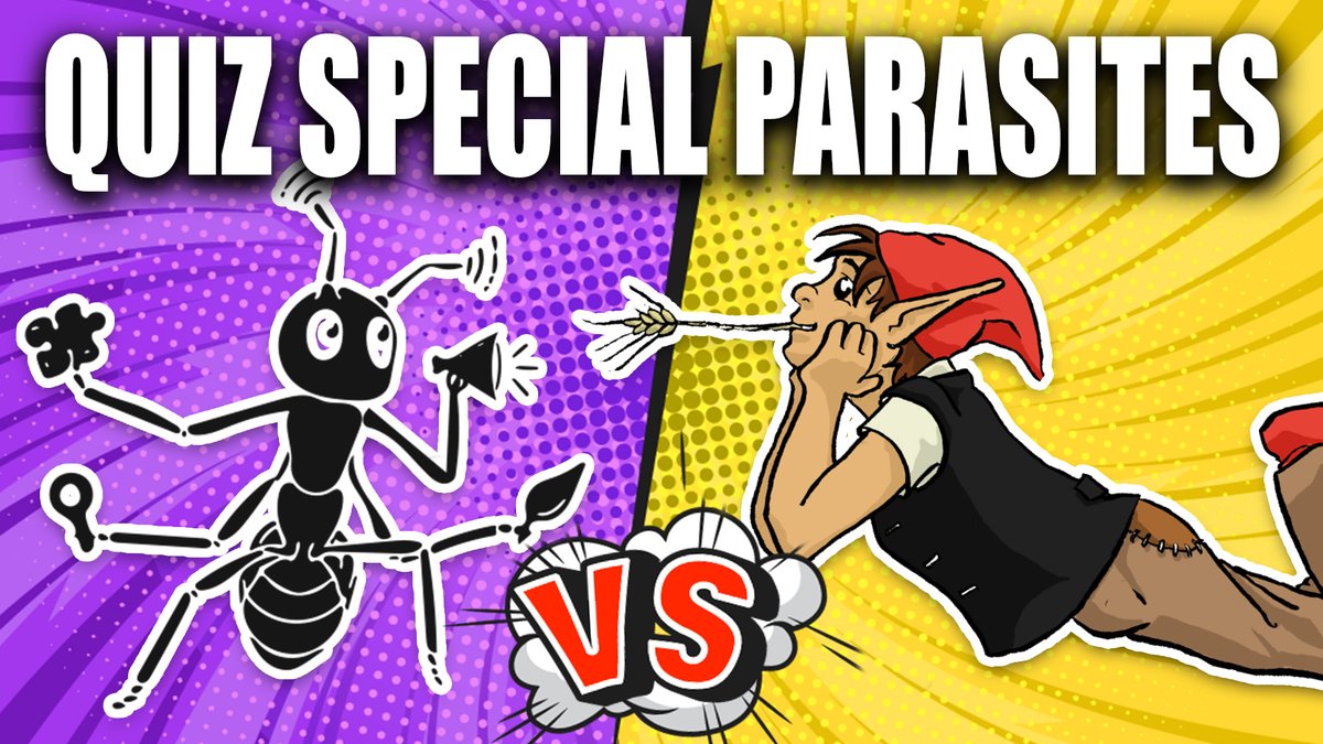 C'est l'heure, le live démarre ! Rejoignez nous sur la chaîne YouTube écran de Savoirs et venez tester vos connaissances sur les parasites. youtu.be/qV7w9BAhw30