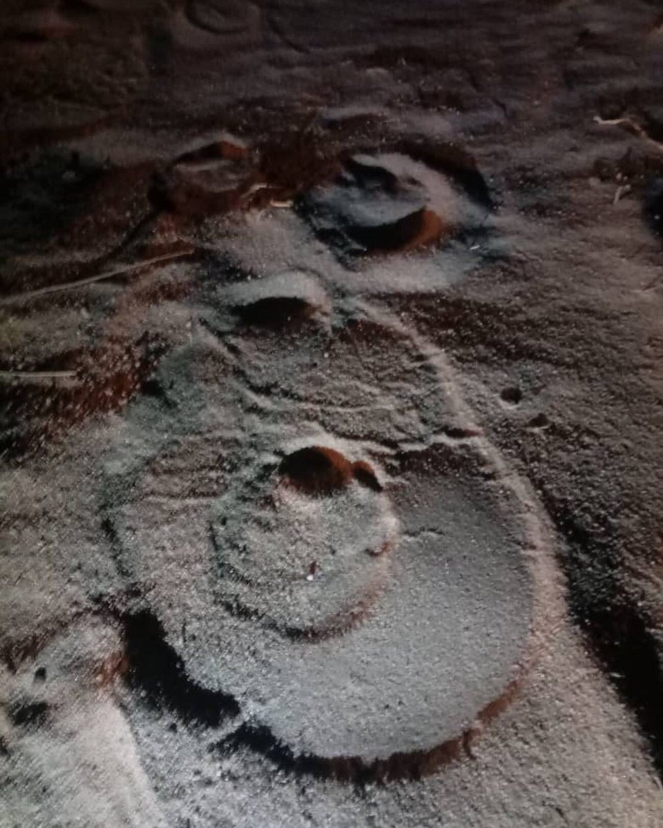 Elephant-Human Relations Aid tweet media