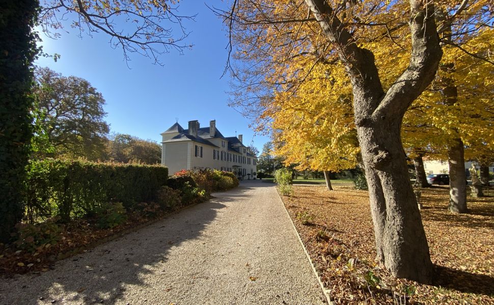SifexChateaux's tweet photo. Wonderful fully #renovated 19thC #chateau ideally located 5 mins from shops and 15mins from #Marciac. #Outbuildings include #barns #stables #dovecote and a #Caretakershouse which can serve as a 2 bed #Gite. 13x 6 #heatedswimmingpool €1630000 https://t.co/44YVAIvfn9 https://t.co/9H5IrP5Kqw