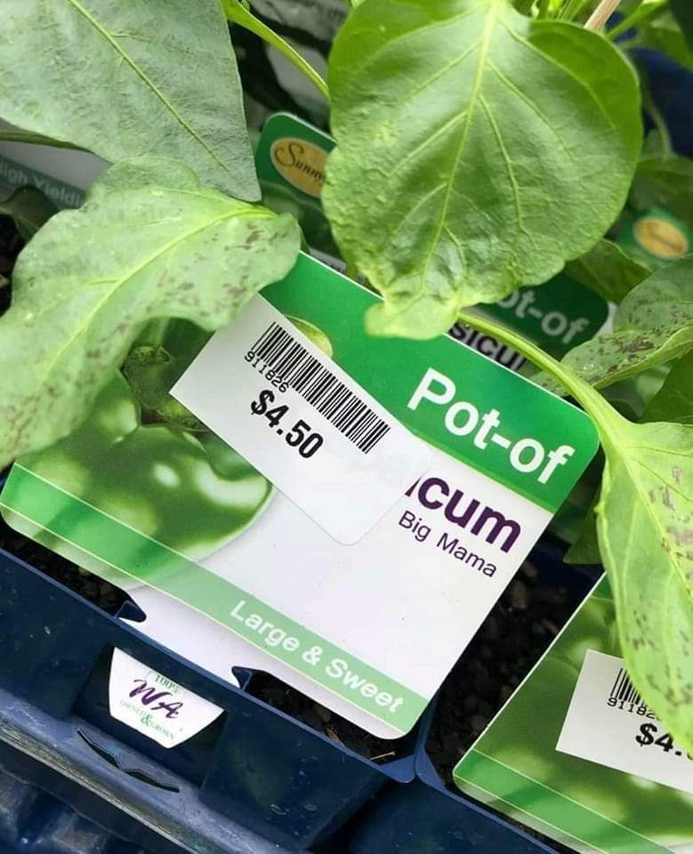 cum_aim's tweet photo. https://t.co/HDokELvNni