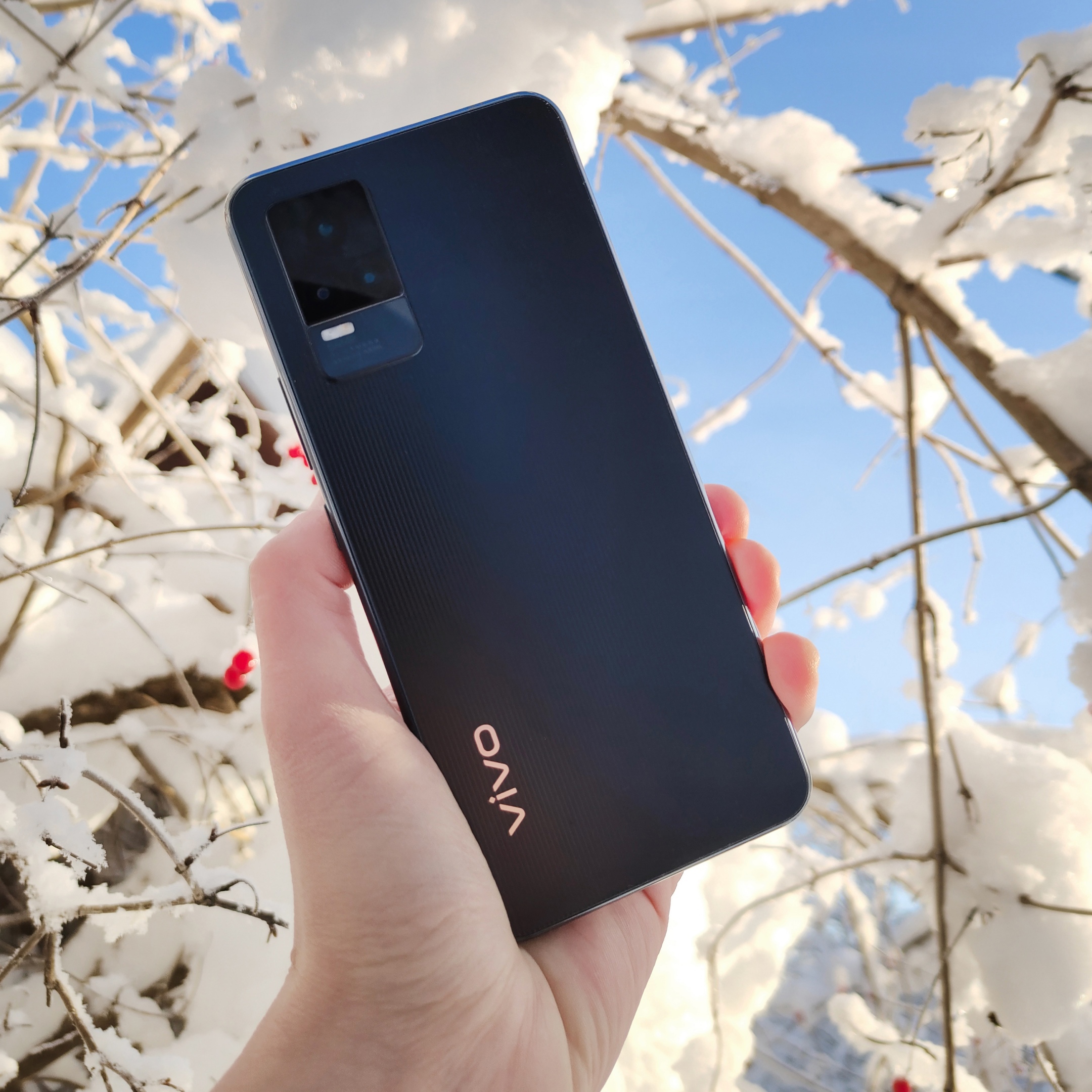 vivo Россия (@vivorussia) / X