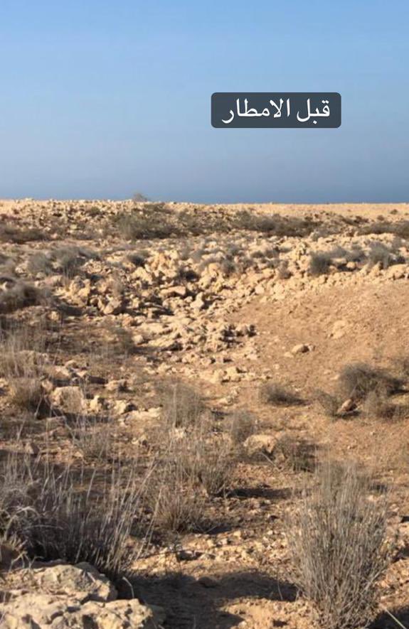 AbdullaAlkuwar6's tweet photo. (مغدر السلولي ) يقع في الساحل الغربي من قطر في منطقة الزوير وسمي بهذا الاسم نسبه الى احد الرجال الذين عايشوا فترة حكم المؤسس طيب الله ثراه وكانت هذه الطريقة احد طرق جمع مياه الأمطار وذالك بسد مجرى السيول بالحجارة ، ويقع بالقرب من هذا الموقع روضة السلولي . https://t.co/vcs2gNm6F6