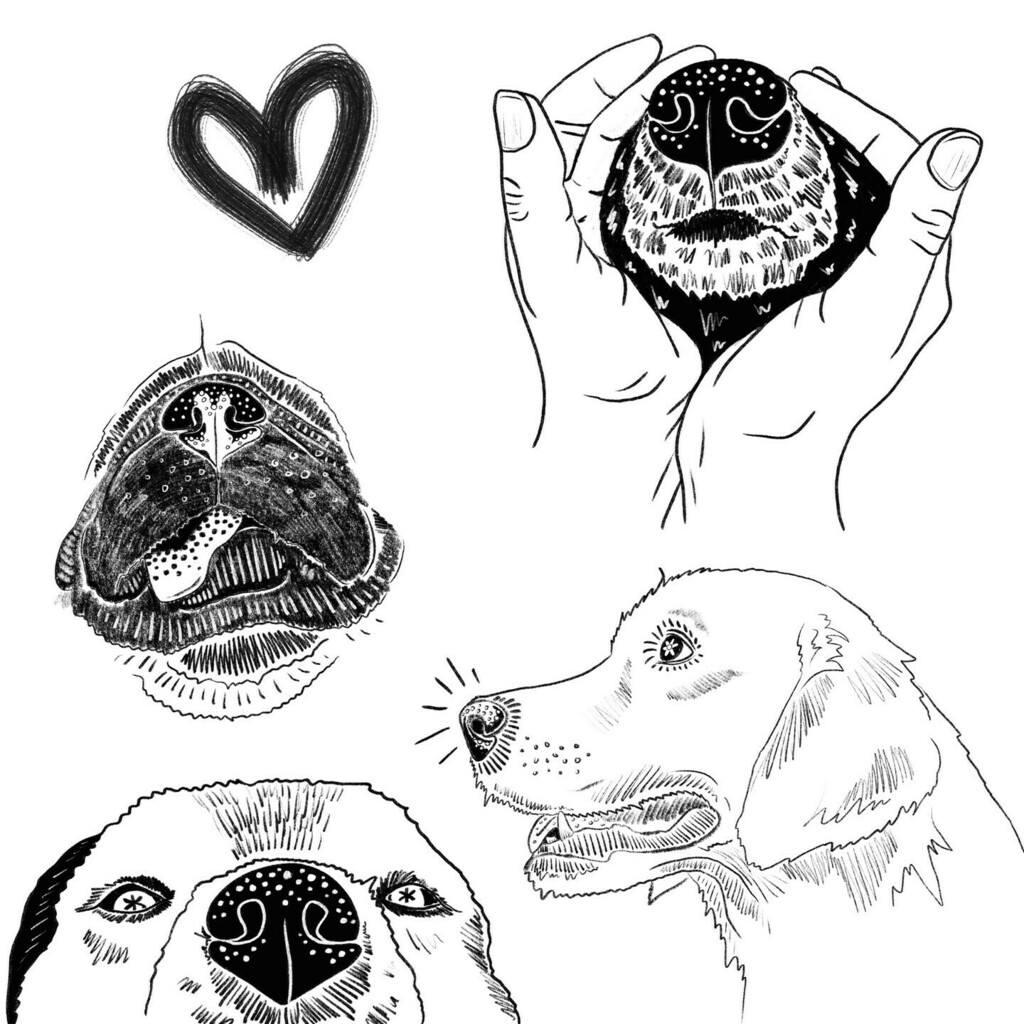 Grizzly_Details's tweet photo. Starting off the week with a little sketch study of boopable snoots! ๐ one of my favourite parts of drawing our furry friends is their noses ๐
.
#boop #boopable #snoot #boopthesnoot #boopmynose #dogdrawing #sketchstudy #sketching #dogsketch #dogsofinstagram #ukdogs #dogsuk #โฆ https://t.co/WfjafI7PKf