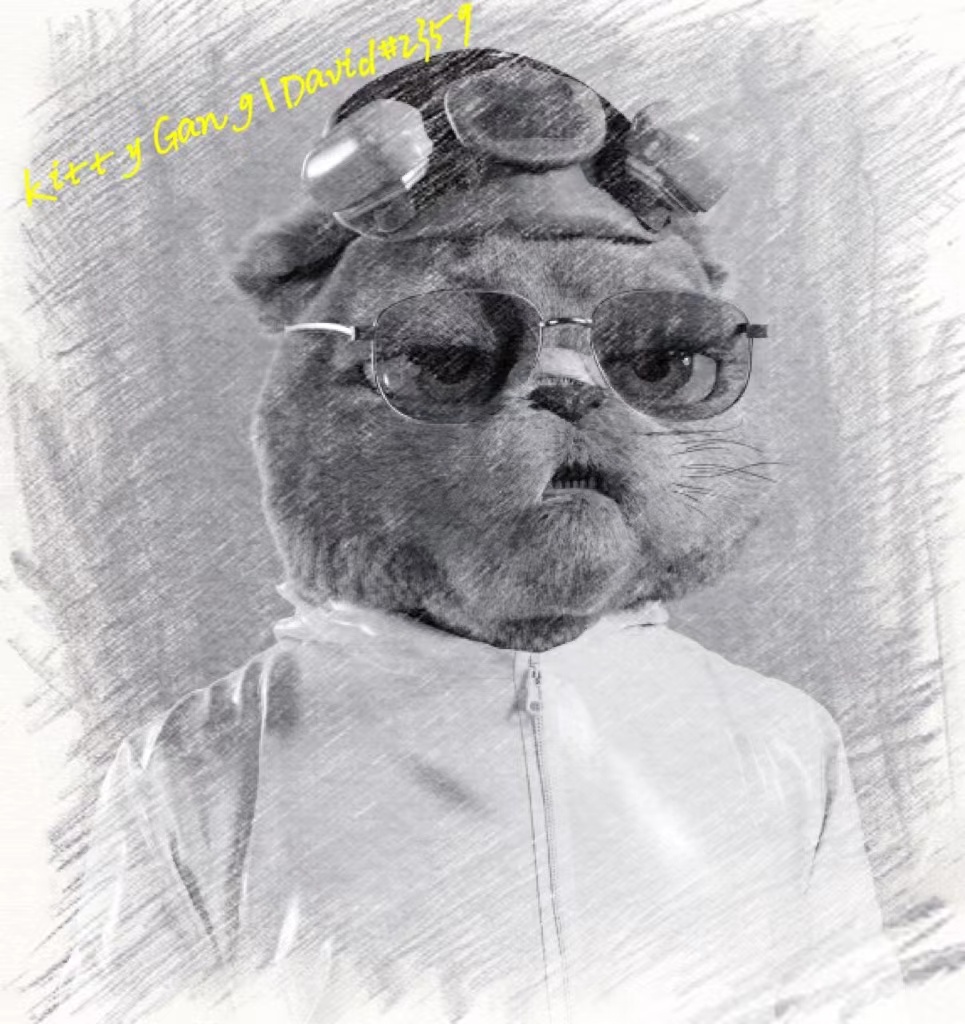 jane9776985's tweet photo. @KittyCryptoGang Hope you like it, I have posted on the art creation channel https://t.co/AmYni6N3bu