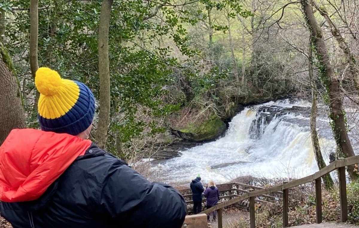 AccessTheDales_'s tweet photo. A view of the impressive falls at Aysgarth has been made possible because of a purpose-built footpath from the car park to the middle falls. Here there is a viewing platform for wheelchair users.  
https://t.co/zZAseLgyLF https://t.co/Mu78L9XGro