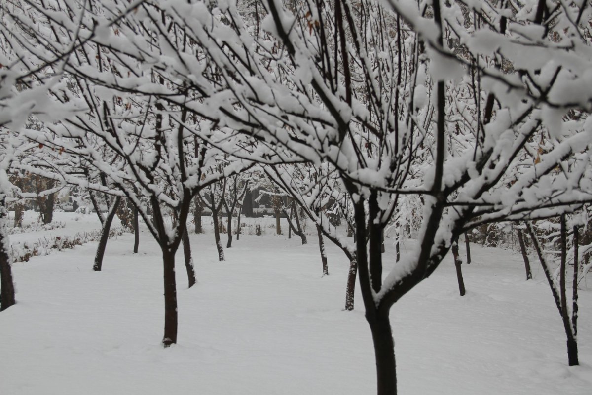 acku2007's tweet photo. Snowy Campus ❄️
#ACKU #Winter #Snow #Nature #Photography️ https://t.co/aAYcozhdCz