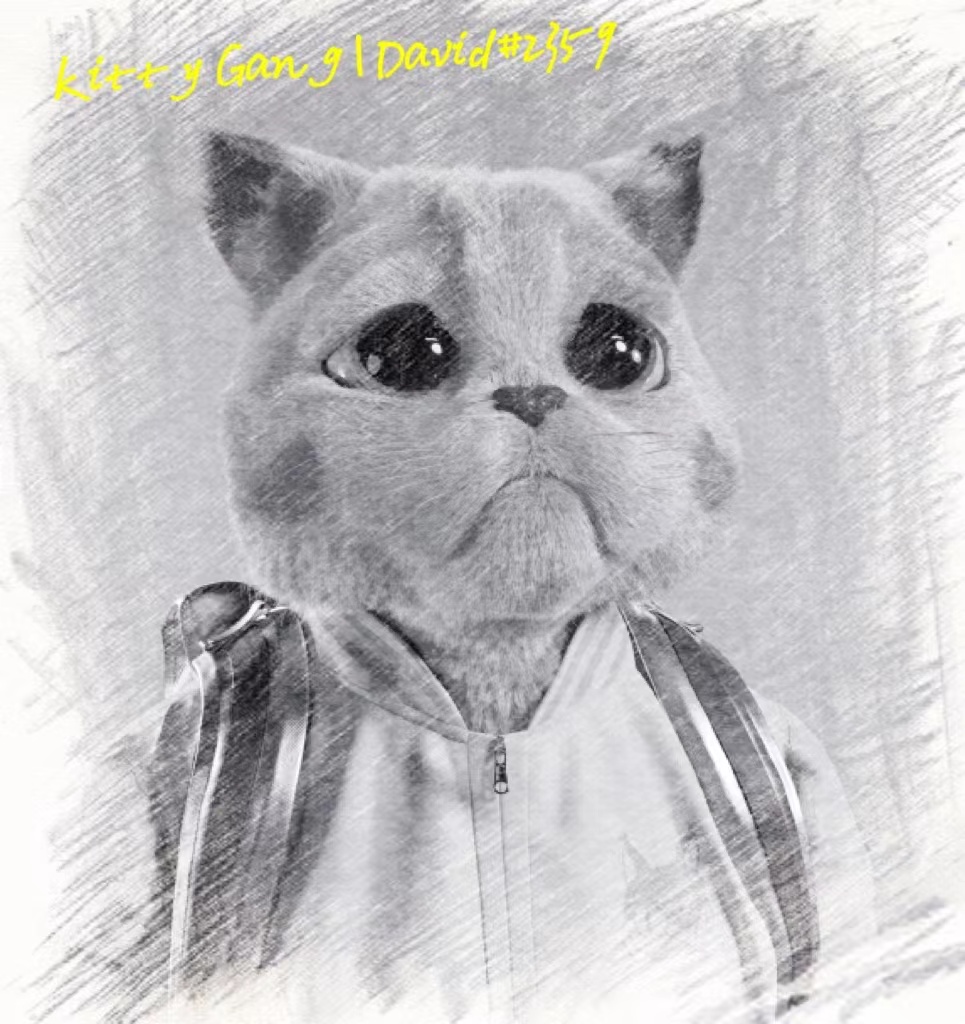 jane9776985's tweet photo. @KittyCryptoGang Hope you like it, I have posted on the art creation channel https://t.co/khSHpxtjAk