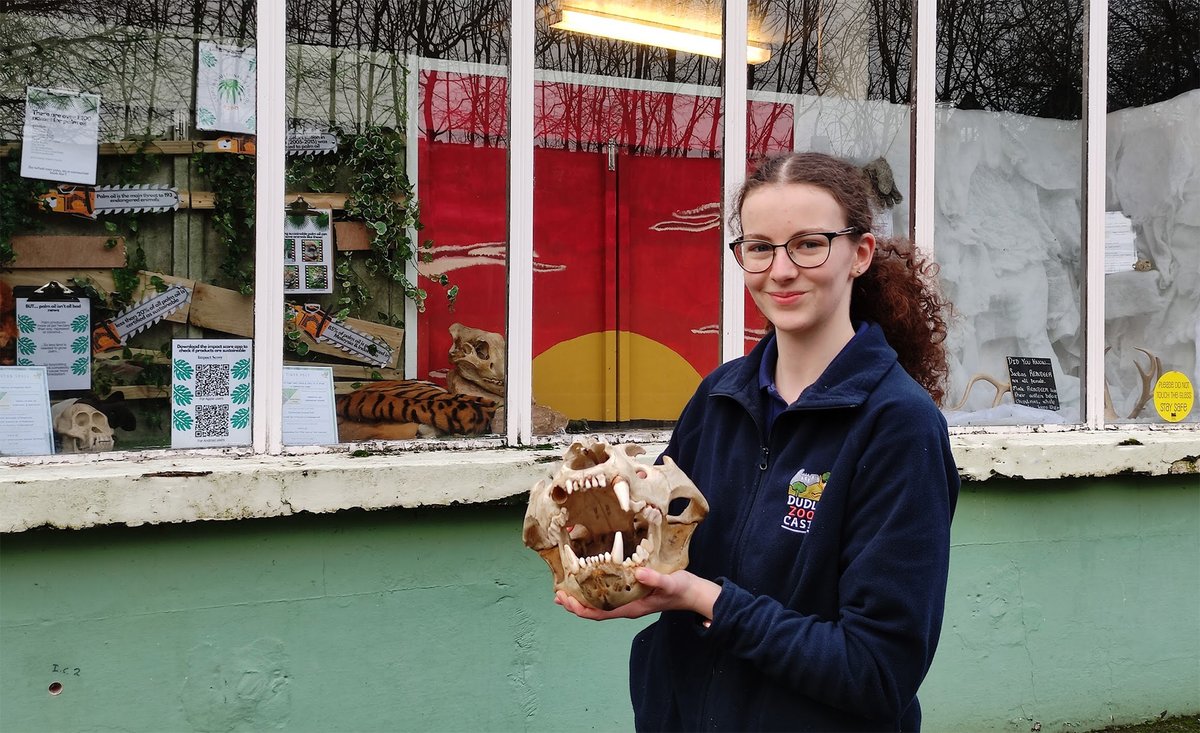 dudleyzoo's tweet photo. Visitors can learn more about the threats facing animals living in different habitats in a powerful new visual conservation display at the Discovery Centre.
Have a look in the next time you're passing!
#biofacts #palmoil #deforestation https://t.co/LgzmUJs0Dt