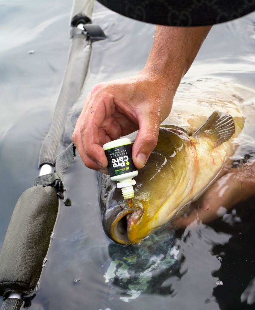 RidgeMonkey on X: Always care for your catch 🏥 ProCare is an ideal  fishcare solution for all freshwater fish and suitable for use on mouth,  body and fins #RidgeMonkey #Fishing #Fish #Outdoors