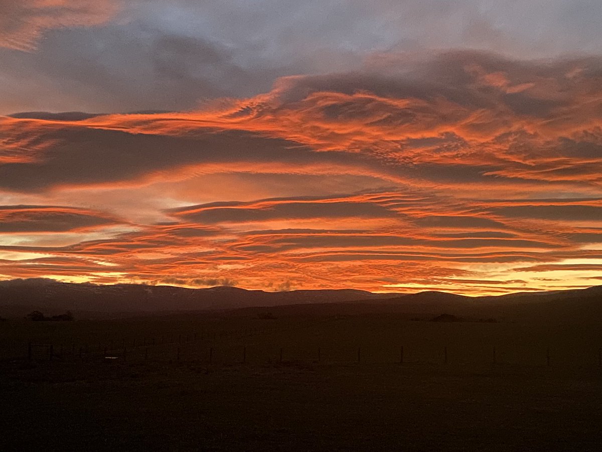 Good Morning World!! From Badenoch, The Storylands!! 🌅💞
#sunrise #nofilterrequired #newtonmore #badenoch #badenochthestorylands #grampianmountains #cairngorms #cairngormsnationalpark #scotland #scotlandsbeauty #scotlandshots