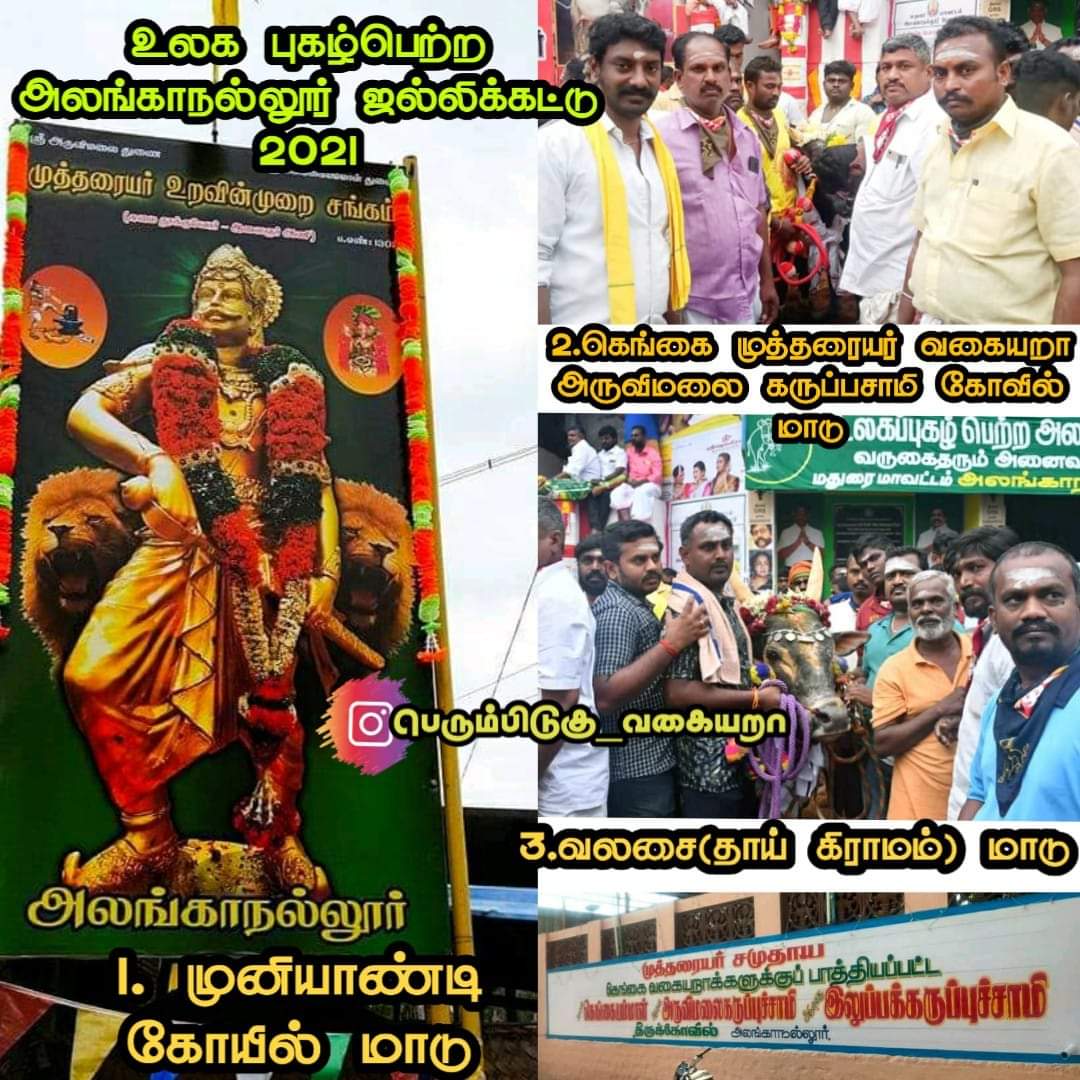 VALLAKOHN's tweet photo. உலக புகழ் பெற்ற அலங்காநல்லூர் ஜல்லிக்கட்டு

முத்தரையர் மக்களுக்கு பாத்தியப்பட்ட காளைகள்:-

1.முனியாண்டிகோவில்மாடு
2.கெங்கைமுத்தரையர்வகையறாமாடு
3.தாய்கிராமம்வலசைமாடு
#AlanganallurJallikattu
#அலங்காநல்லூர்_முத்தரையர்_ஜல்லிக்கட்டு 
@KKSelvakumaroff @gurumanikks @CMOTamilnadu @mkstal https://t.co/OW4YfDx5WN