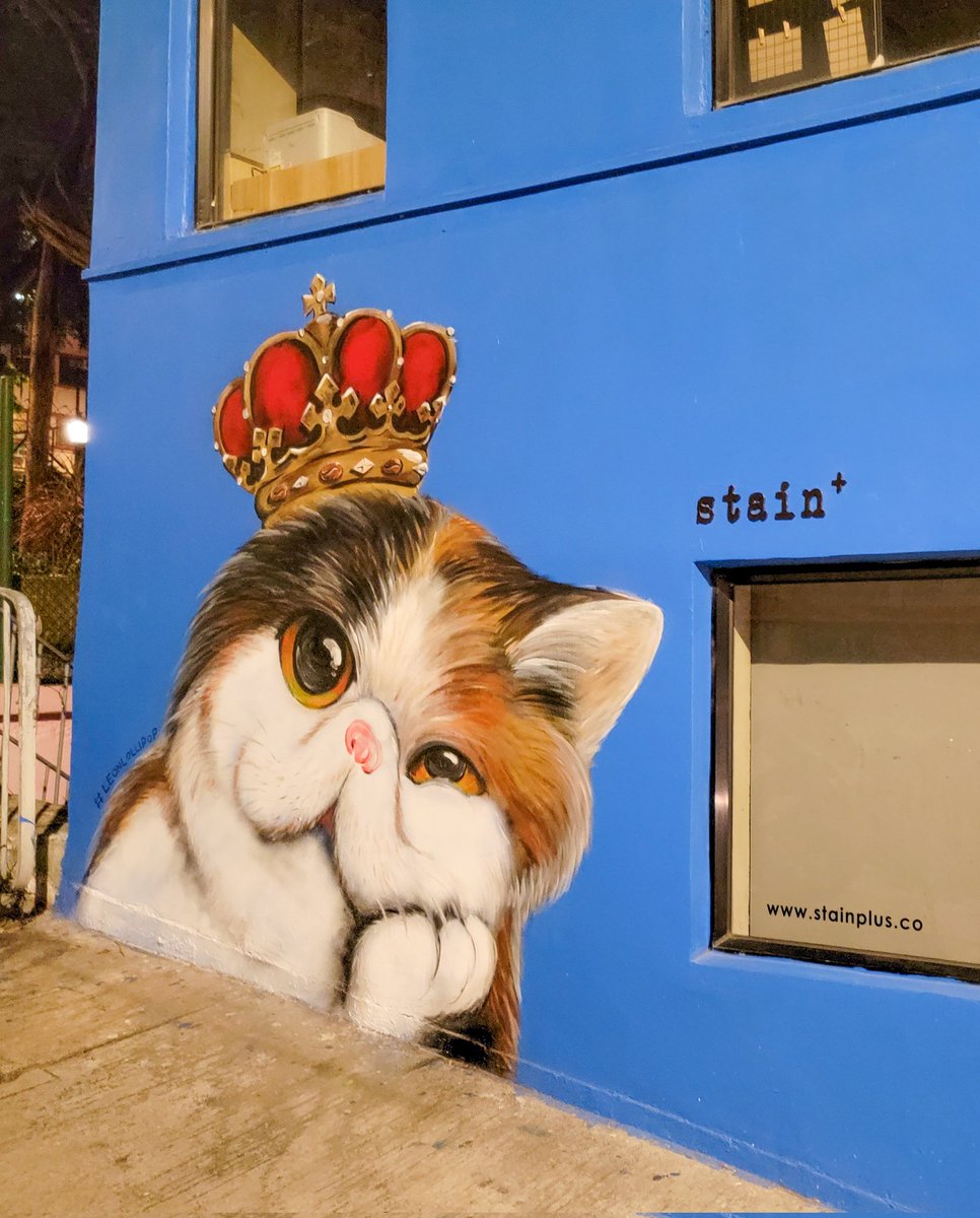 beckyexploring's tweet photo. Happy #MuralMonday! π¨ This wall has a new #cat #mural! π
They're paying tribute to the original blue mural. π Can you spot the painting? ππ±
#MuralMonday #murals #catmural #urbanbeauty #murallove #streetart #streetartchat https://t.co/DspFthko4D