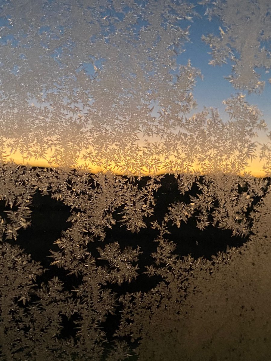 aranchahort's tweet photo. Los termómetros bajo cero de estas noches en el centro peninsular dejan vislumbrar estas bonitas estampas, debido a las heladas, sobre los vidrios de los coches. 
Tomada en Honrubia, Cuenca, al amanecer, por @anaishtmz 
@ElTiempoCMM @ElTiempo_tve @ElTiempoA3 https://t.co/HVjRHpPVpf