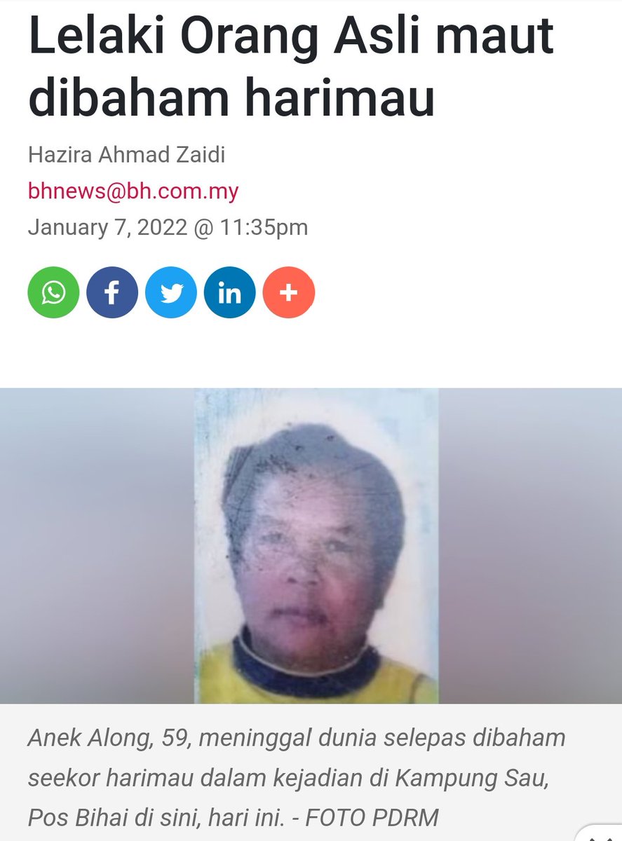 FaktaBukanAuta's tweet photo. Tahukah anda,

7 Jan
Lelaki OA dibaham harimau di Pos Bihai, Gua Musang.

10 Jan
SK Pos Bihai terpaksa PdPR sbb harimau berkeliaran.

12 Jan
Nik Amar nafi harimau berkeliaran sbb pembalakan.

Semalam @aktivis_alam naikkan dron &amp; temui kesan pembalakan.

Rakyat juga jd mangsa. https://t.co/8CqH7x5sS1
