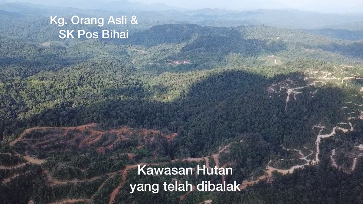 FaktaBukanAuta's tweet photo. Tahukah anda,

7 Jan
Lelaki OA dibaham harimau di Pos Bihai, Gua Musang.

10 Jan
SK Pos Bihai terpaksa PdPR sbb harimau berkeliaran.

12 Jan
Nik Amar nafi harimau berkeliaran sbb pembalakan.

Semalam @aktivis_alam naikkan dron &amp; temui kesan pembalakan.

Rakyat juga jd mangsa. https://t.co/8CqH7x5sS1