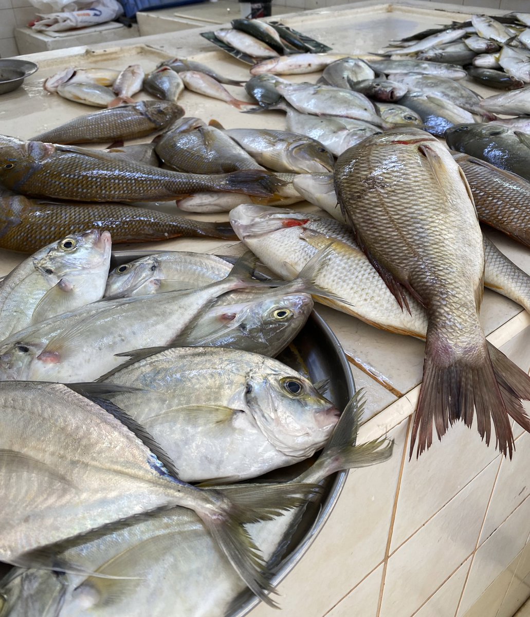 <a href="/Fishing_Club_OM/">شبكة هواة صيدالأسماك</a> <a href="/Alsaiad_alomani/">شبكة الصياد العماني</a> <a href="/Cr7777710/">Cr77777</a> <a href="/jaseembalochi/">جاسم البلوشي</a> <a href="/abbas_zadjali/">Abbas Al Zadjali</a> <a href="/Abu_3udii/">ابو عدي ⚘🦈🦈</a> <a href="/ABU_Ali_1233/">أبو علي</a> <a href="/abu_adamo0/">نجم الشمالFCB</a> <a href="/mohd_aideed5997/">محمد عيديد</a> <a href="/BU_BASHAR_/">أبوبشار الغنبوصي</a> <a href="/Abu_Ward_/">ود عيد Abu_Ward</a> جميع الأسباب التي ذكرتها هي التي ادت الى النقص في المخزون السمكي في بحار السلطنة ،وبالتالي ارتفاع أسعار الأسماك بشكل كبير،لذلك نحتاج إلى تنظيم وقوانين صارمه لردع المخالفين وايقاف أستنزاف الاسماك بالصيد الجائر.
#شبكة_هواة_صيدالأسماك
#شبكة_الصياد_العماني 
#أوقفو_استنزاف_بحار_عمان