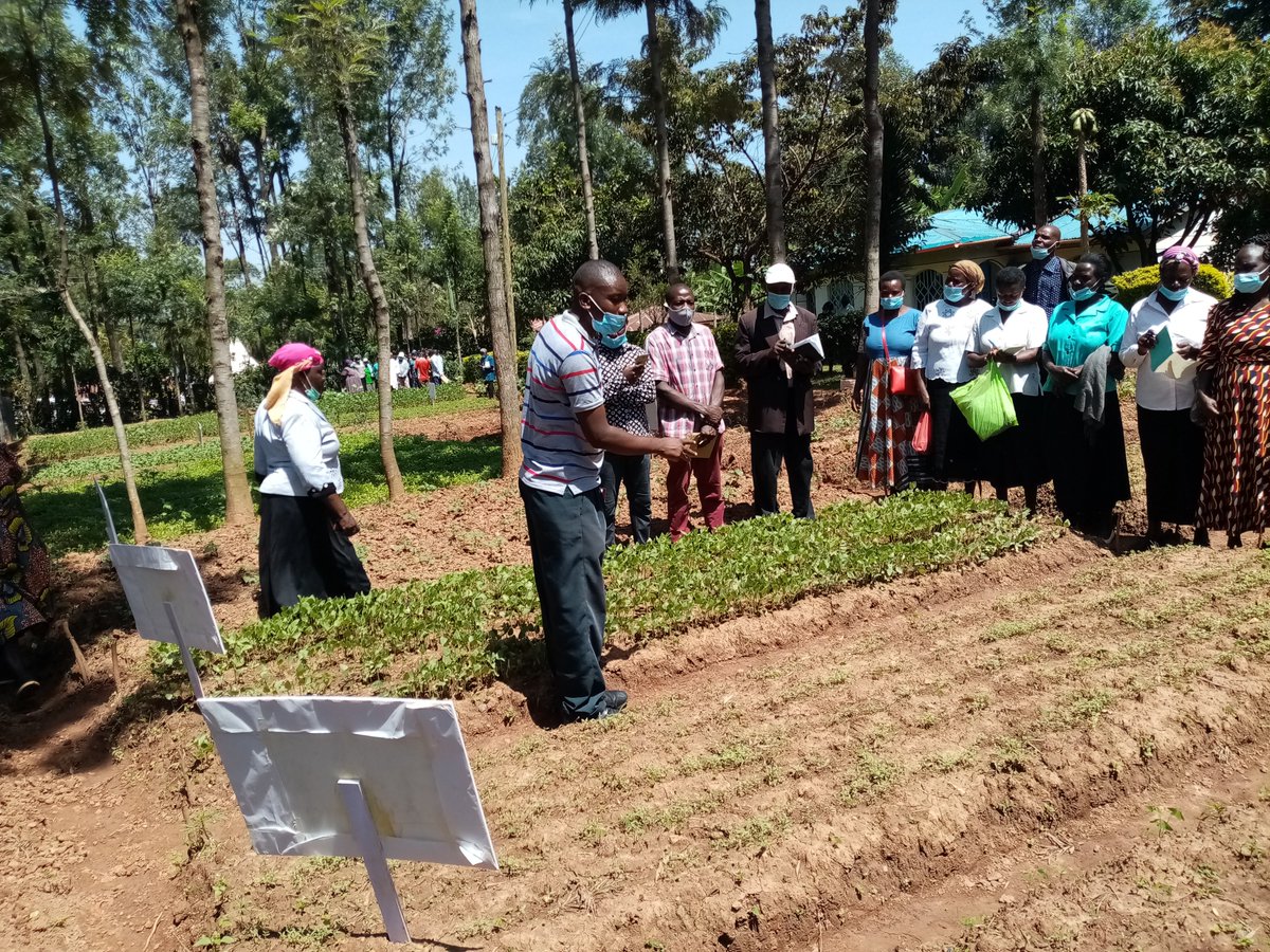 ROP_Africa's tweet photo. We all know the environment is delicate and needs to be protected. 

Yields are limited by lack of nutrients and water, especially in Africa where fertilizers are often overused or unavailable altogether.

RA technology will solve these problems. 

@go_vegetables @SNV_Kenya https://t.co/v7zzNNNiUw