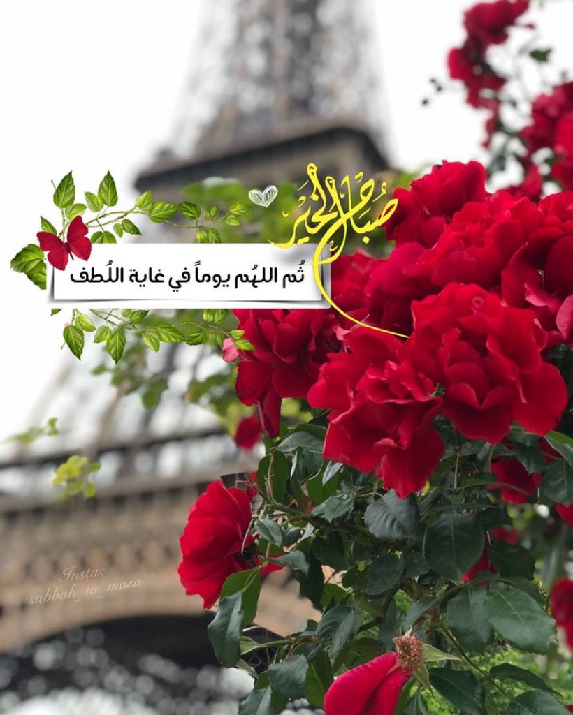 LoloLolomohmed2's tweet photo. @KWeYKoyE9WV5WAt @fatima45555 أجمل ما في الصباح … أن تستيقظ 
 حامداً شاكراً لله … يصبح كل شئ أجمل 🌹🌹 https://t.co/MlCXORNeIi