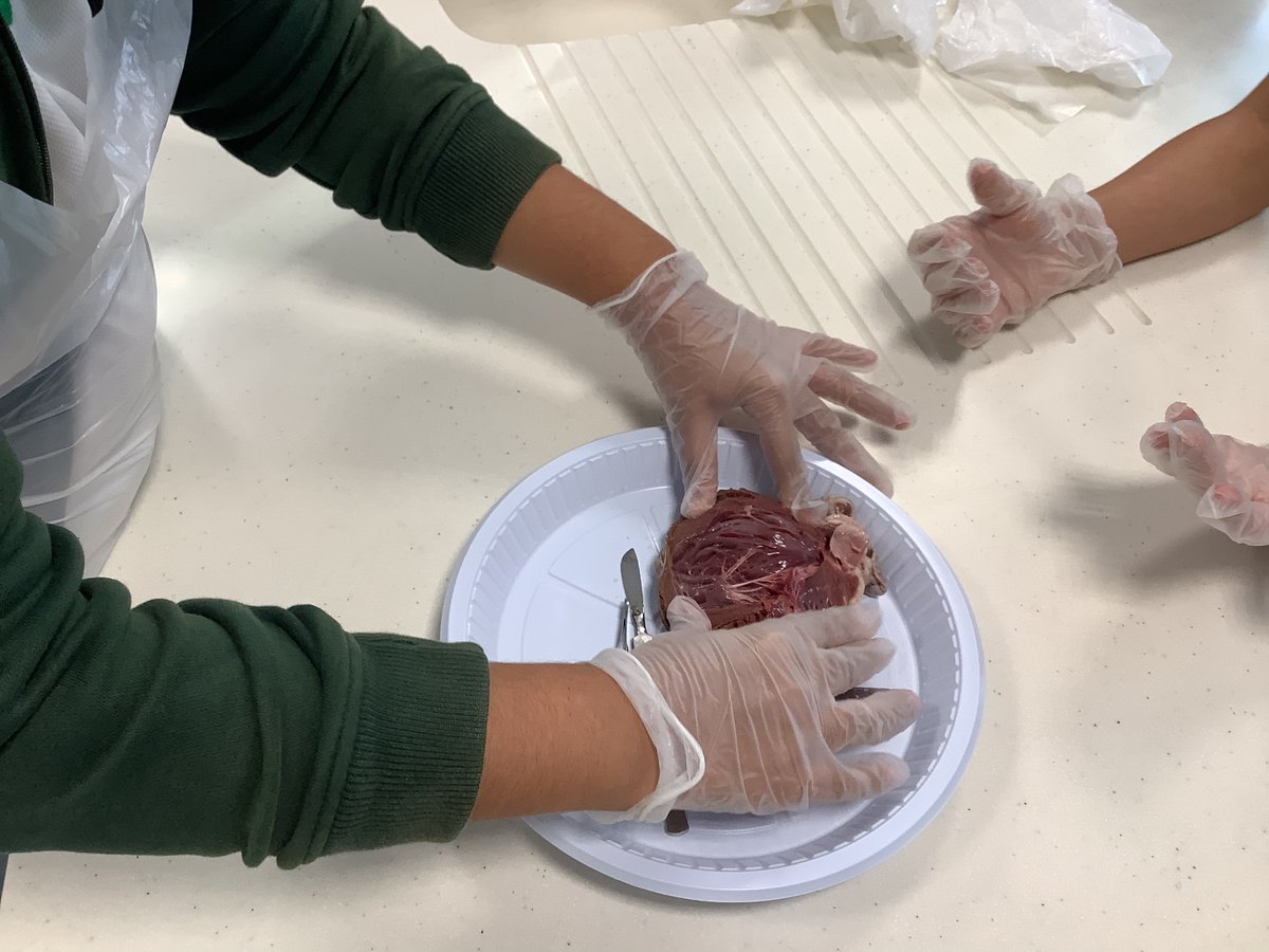 Science | The Arbor School tweet media