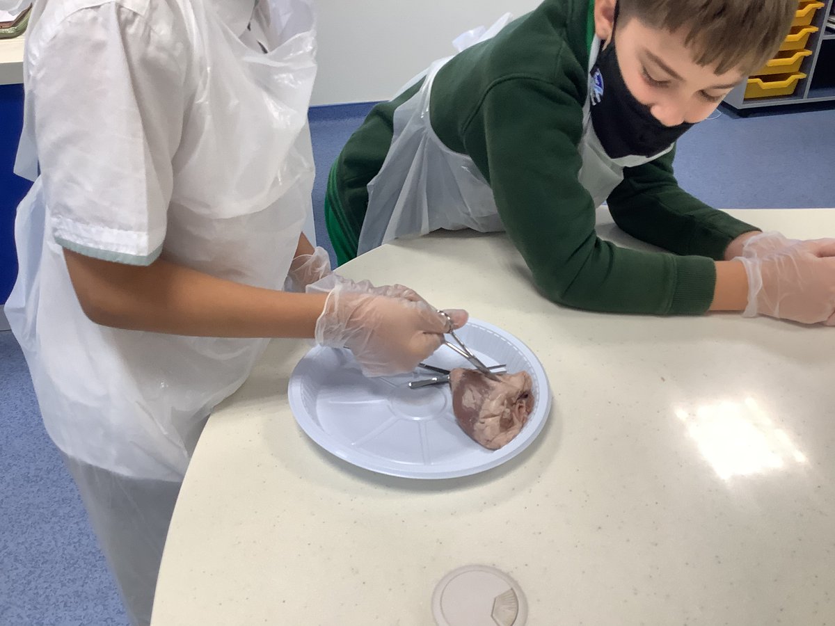 Science | The Arbor School tweet media