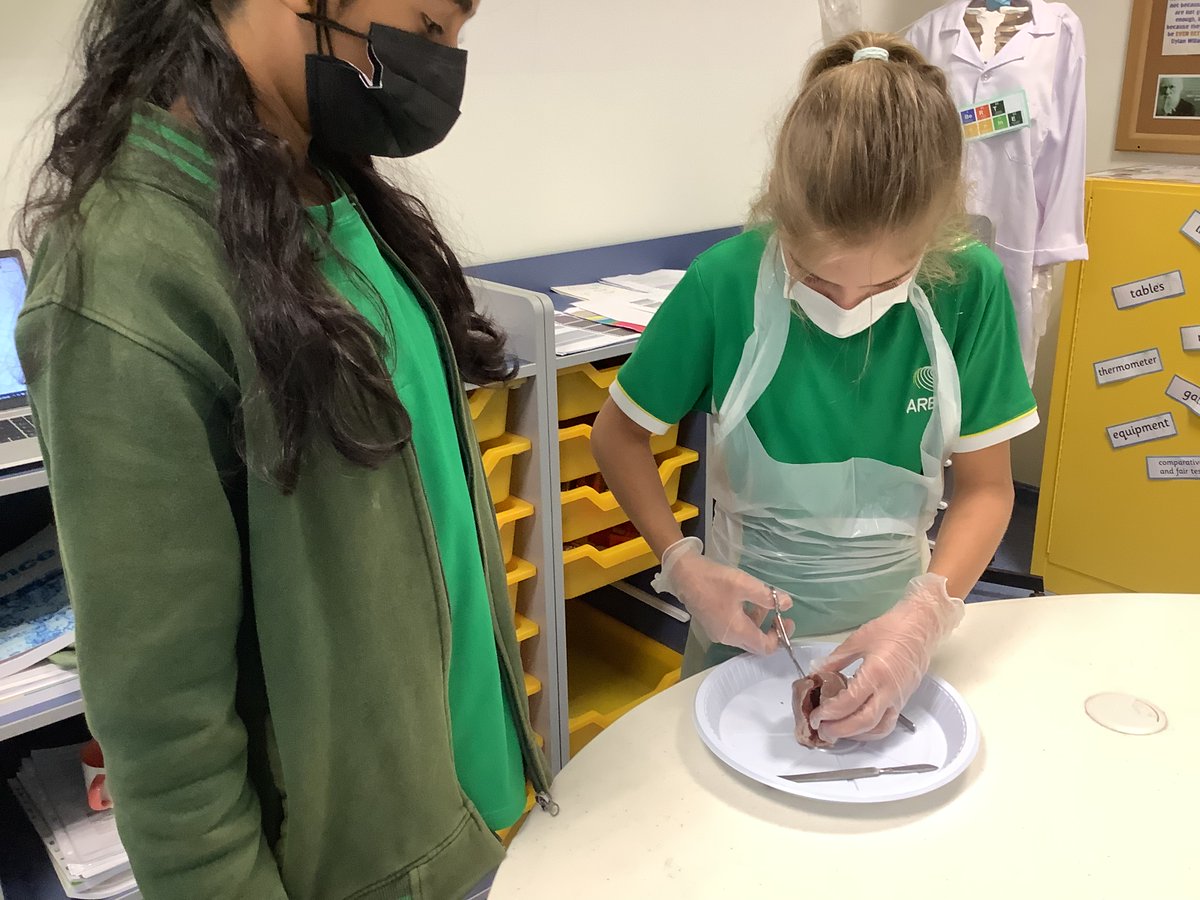 Science | The Arbor School tweet media