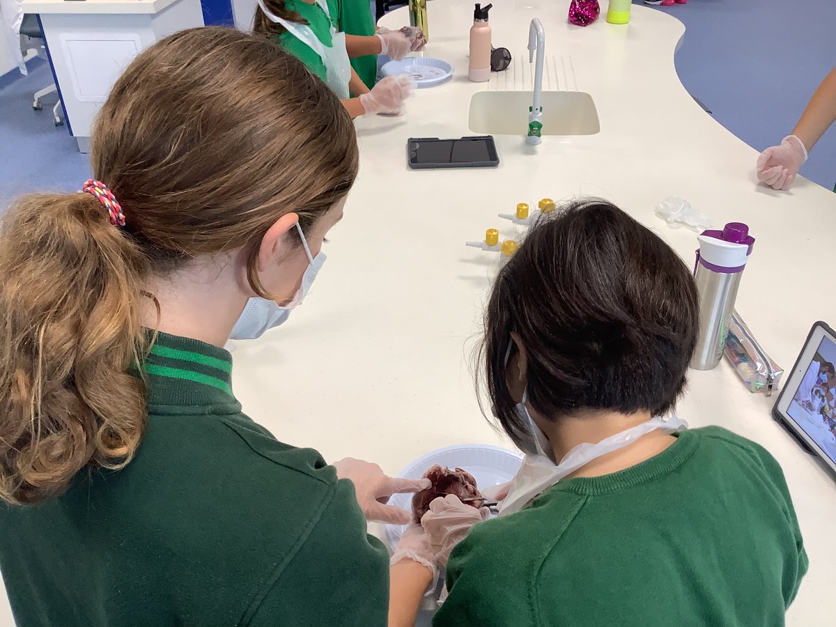 Science | The Arbor School tweet media