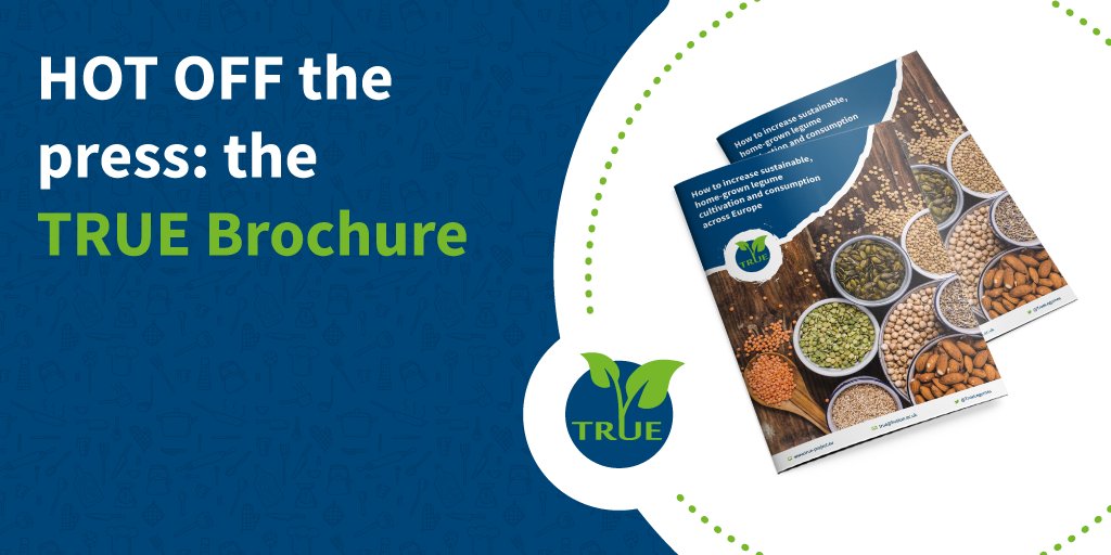 TRUE is officially over but make sure to check out our latest brochure🔗true-project.eu, full of innovations and approaches developed during the Project.Hope it serves as inspiration to all home-grown legume innovators😊#TRUEProject #LoveLegumes #LocallyGrown #Sustainable