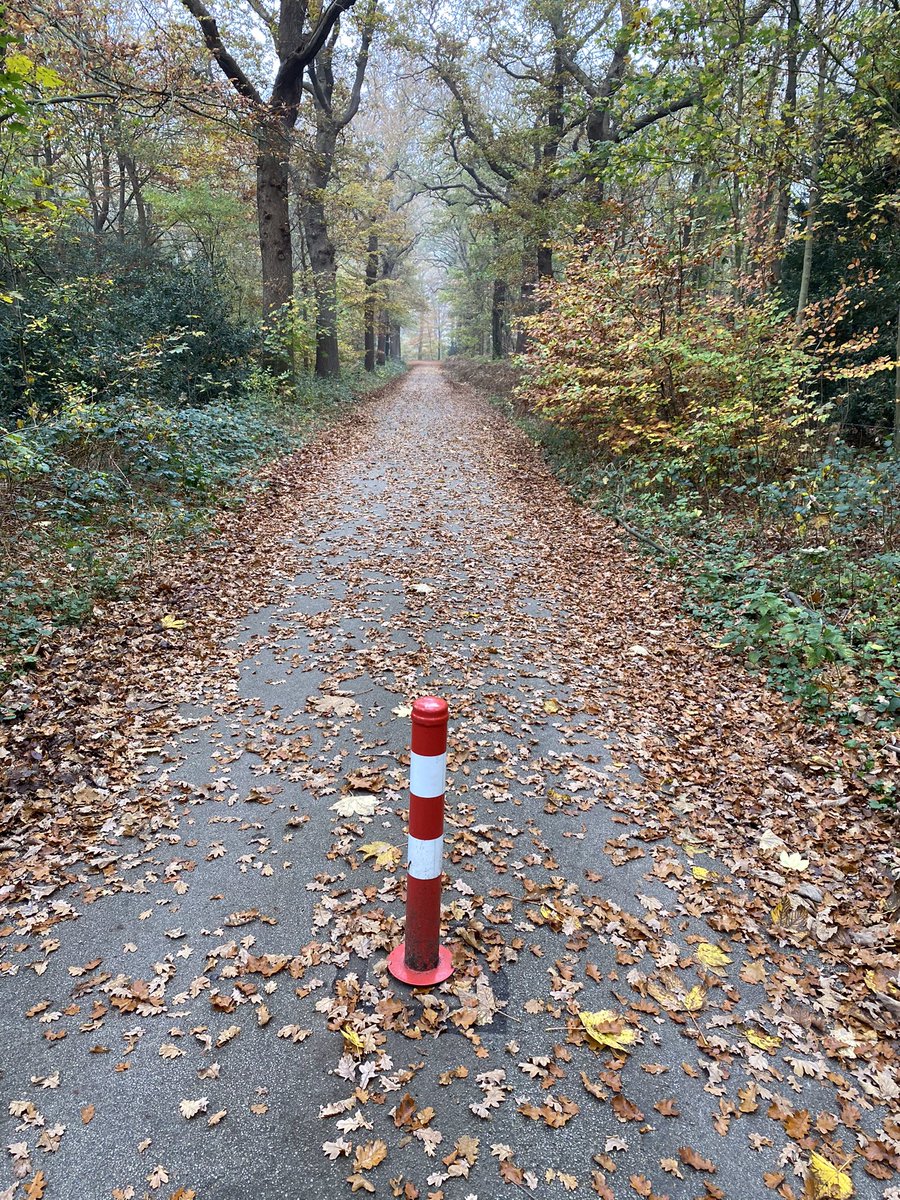 jan van der Werf (@werfwind) on Twitter photo Foute fietspaaltjes een hardnekkig probleem fietsberaad.nl/Kennisbank/Fou…. Ook in <a href="/Heerenveen/">Gemeente Heerenveen</a> . Paaltjes urgent, maar als er gestrooid moet worden laat gemeente zien dat het ook zonder kan. Paaltjes en niet handhaven (auto’s) is ook dweilen met kraan open. Foute fietspaaltjes een hardnekkig probleem fietsberaad.nl/Kennisbank/Fou…. Ook in <a href="/Heerenveen/">Gemeente Heerenveen</a> . Paaltjes urgent, maar als er gestrooid moet worden laat gemeente zien dat het ook zonder kan. Paaltjes en niet handhaven (auto’s) is ook dweilen met kraan open.