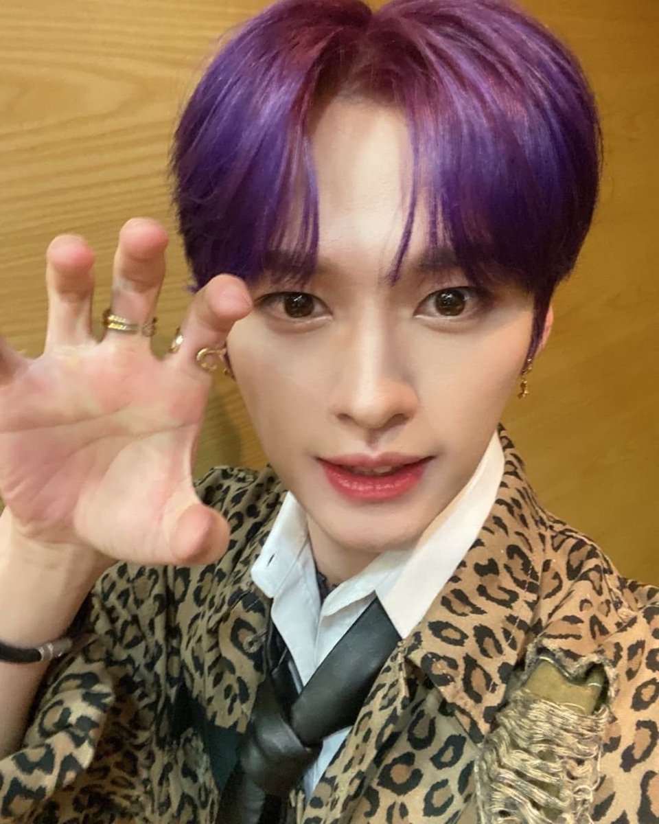 늘 tweet media