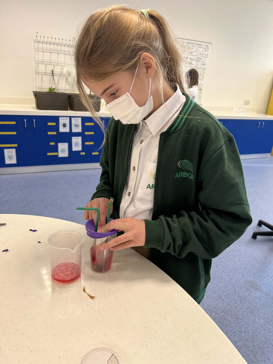 Science | The Arbor School tweet media