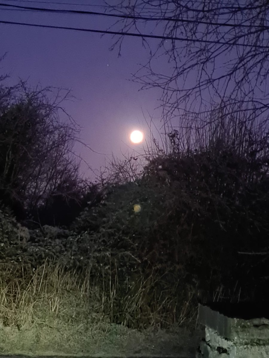 Norma Carr - Raising Vibrations tweet media