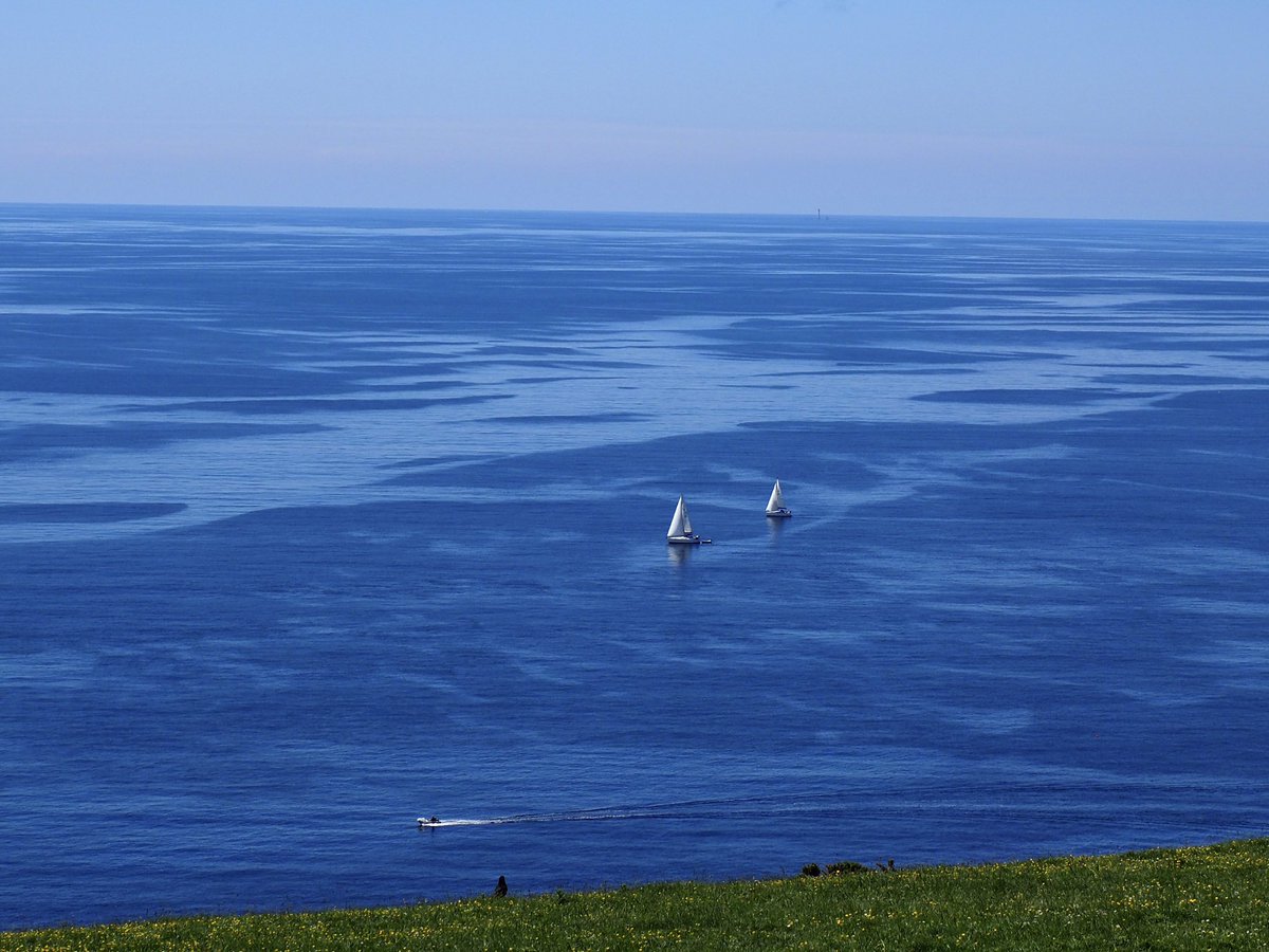 Dave Butler tweet media