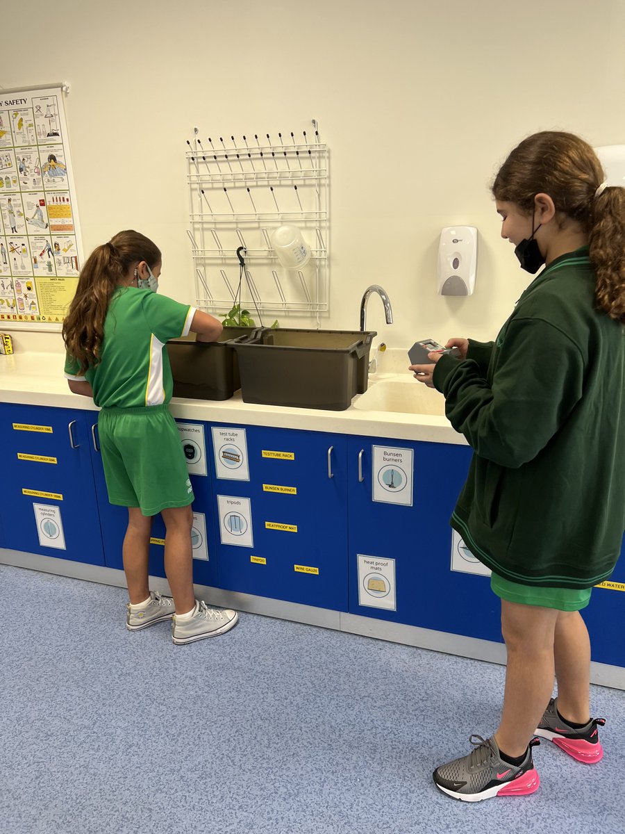 Science | The Arbor School tweet media