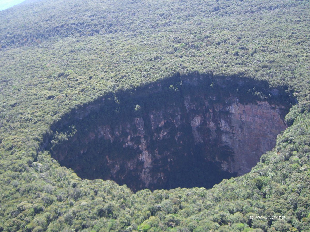 توییتر 世界ふしぎ発見 در توییتر 次回の世界ふしぎ発見 は数々の作品のモデルや舞台になっている ギアナ高地 テーブルマウンテンの上に見つかった巨大穴 一体そこには 驚愕の世界 ミステリーハンター 竹内海南江 が潜入 お楽しみに ふしぎ発見