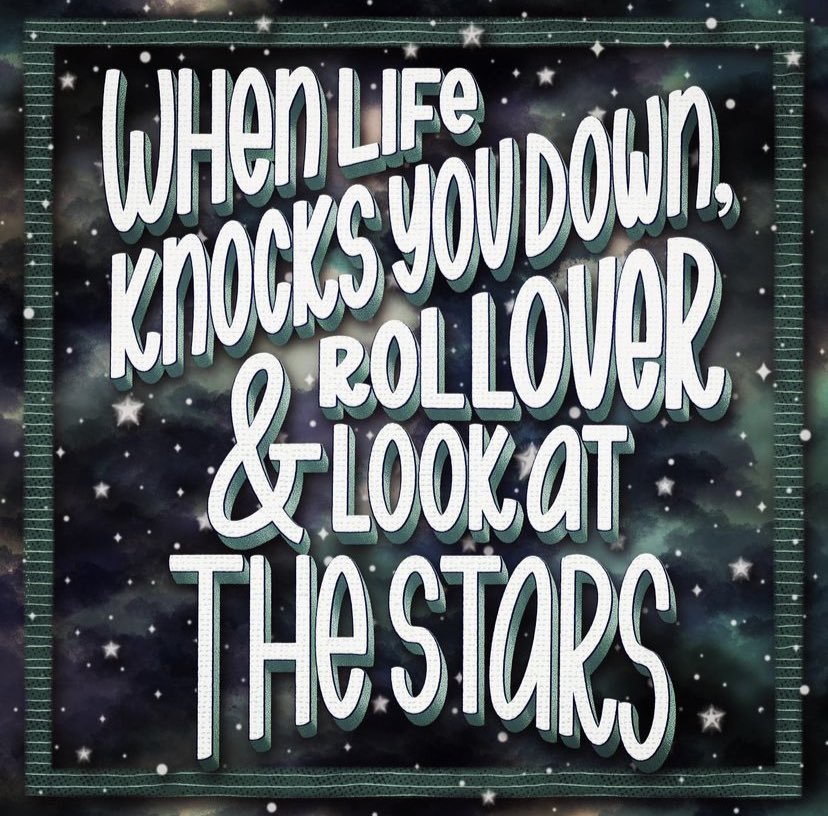 Jenni Page (Mack) 💚 tweet media