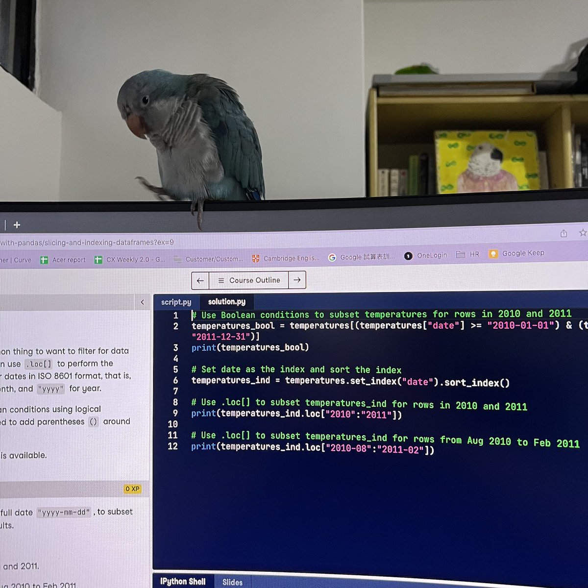 eveychang's tweet photo. Day 10 of #100DaysOfCode :
Back to learning Python schedule! Learning index, slicing with loc &amp;iloc in #Python 
Today I’ve got a little sidekick helping me 🦜#WomenWhoCode #CodeNewbie #pythonista #pythonlearning https://t.co/cF5AuTmBNe