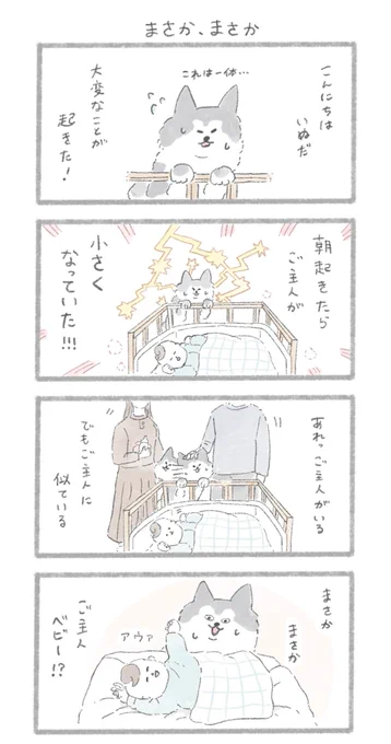 赤ちゃんとハスキーさん
#こんにちはいぬです 