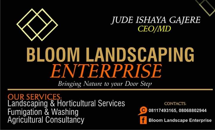 MrWizla's tweet photo. Are you looking for a landscaping contractor?
Affordable price offered,
Budget friendly landscape
100 percent landscape work and services

Bloom Landscaping enterprise is just a call away from you
#Ashawo #olamide #edenhazard #NnamdiKanu https://t.co/JAa1Yg1boS