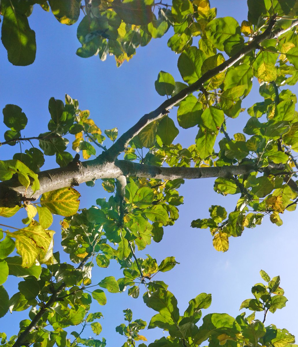 WildsideAC's tweet photo. Blue Monday?? We prefer Green Monday! Help to banish Blue Monday - engage with nature #bluemonday #engagewithnature #healthandwellbeing https://t.co/RtD33dZd4O