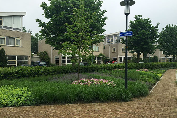 Nieuw lid: Ben Derksen van VAN RAAIJ-BOSMAN groenverzorging Hengelo.
Voor meer info:
bkbronckhorst.nl/nieuw-lid-bkb-…